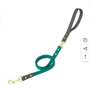 🆕No Tangle Turquoise and Gray Dog Leash